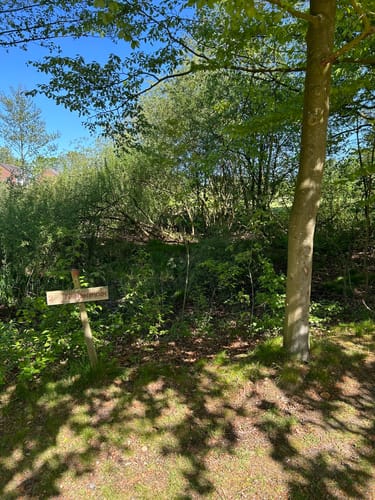 Rundwanderweg A7 (Wildenrath)