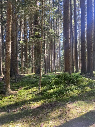 Rotkreuzweg ab Saig