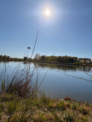 Murner See Weg