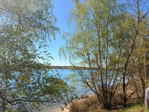 Murner See Weg