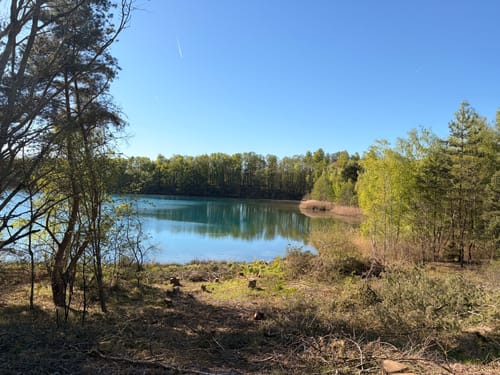 Murner See Weg