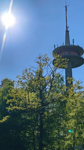 Rundwanderweg Mühlberg