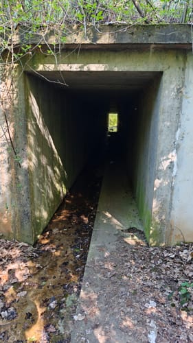 Rundwanderweg Mühlberg