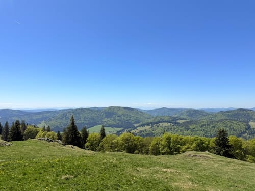 Bernauer Hochtal Steig (Premiumwanderweg)
