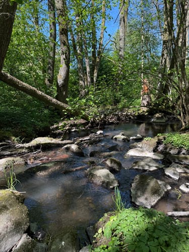 SchächerbachTour (Premiumwanderweg)