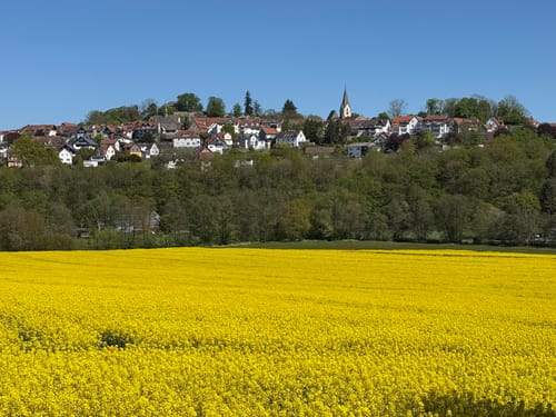 SchächerbachTour (Premiumwanderweg)