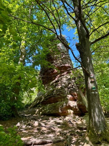 Annweilerer Burgenweg (Premiumwanderweg)