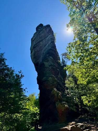 Annweilerer Burgenweg (Premiumwanderweg)