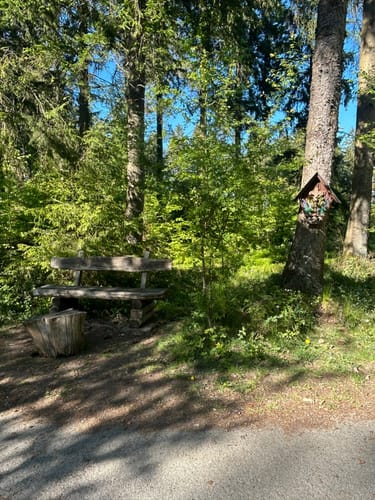 Zu den Bunkern im Buhlert