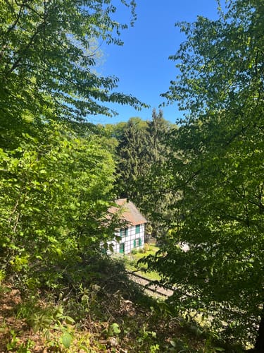 Rund um den Blauen See