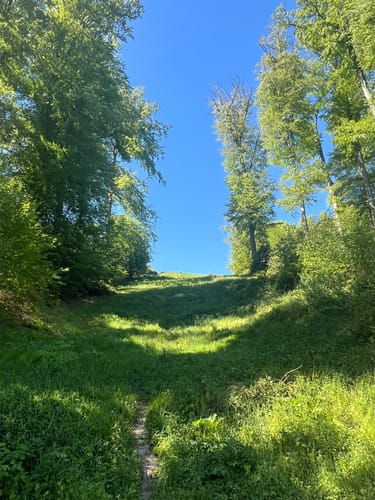 Rund um den Blauen See