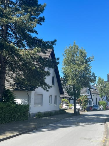 Rund um den Blauen See