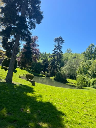 Rund um den Blauen See