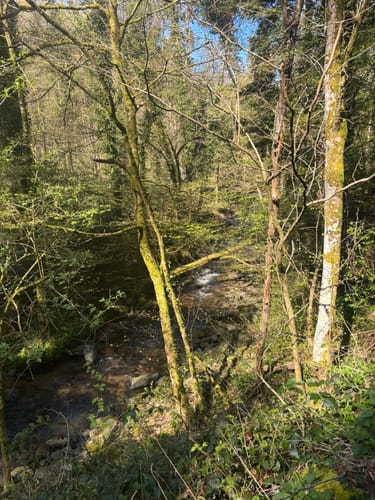 Zum Murg Wasserfall
