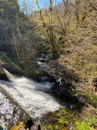 Zum Murg Wasserfall