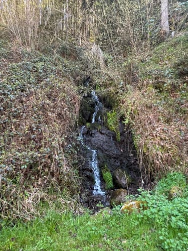Zum Murg Wasserfall
