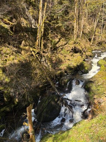 Zum Murg Wasserfall