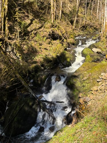 Zum Murg Wasserfall