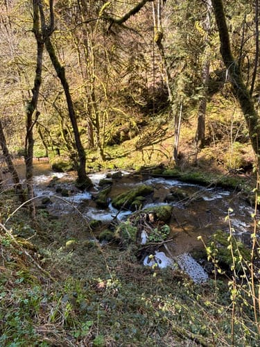 Zum Murg Wasserfall