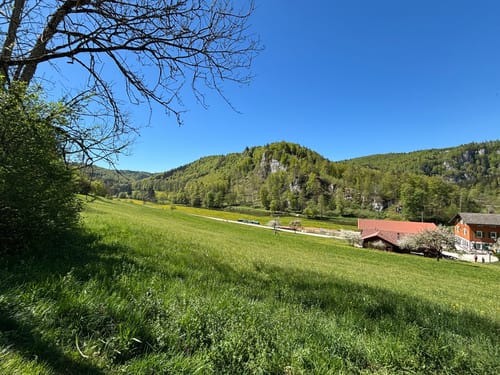 Donaufelsen-Tour (DonauWelle)