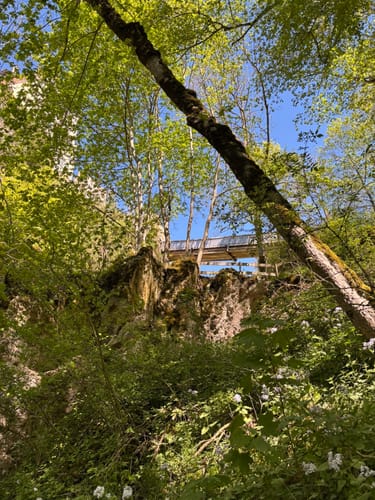 Donaufelsen-Tour (DonauWelle)