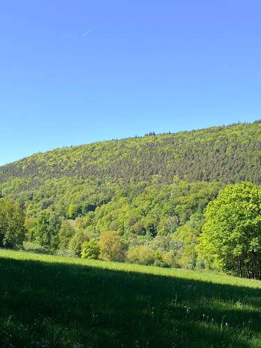 Rundwanderweg Miltenberg Springquelle 3