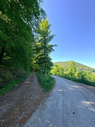 Rundwanderweg Miltenberg Springquelle 3