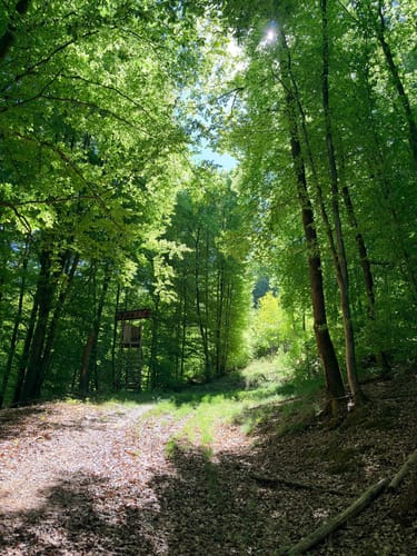 Rundwanderweg Miltenberg Springquelle 3