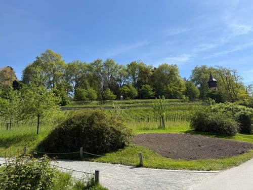 Insel Mainau