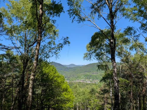 WaldSchlössel - Heidenschuh - Martinsturm - Landeck