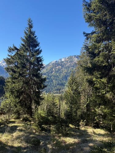 Von Hinterstein zum Wildfräuleinstein