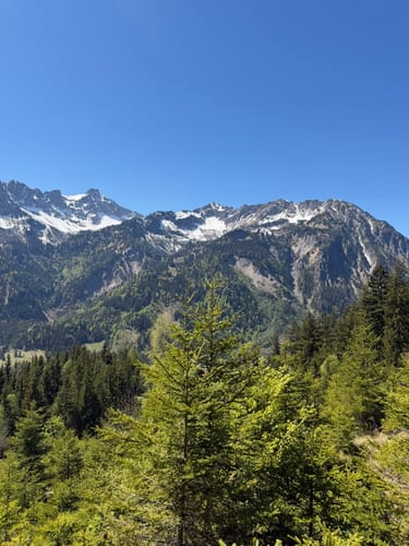 Von Hinterstein zum Wildfräuleinstein