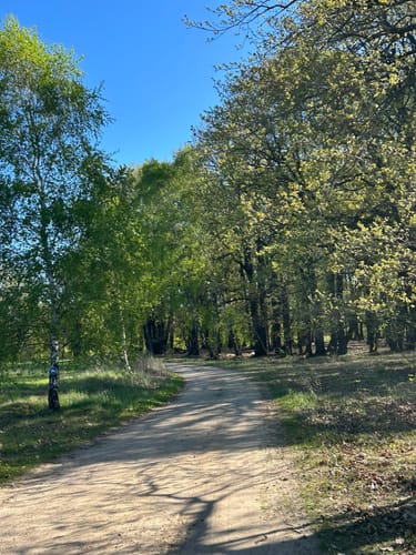 Oberhaverbeck - Suhorn - Wulfsberg