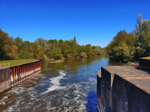 Naturschutzgebiet "Rabeninsel und Saaleaue bei Böllberg" ab Halle