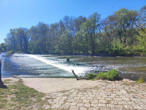 Naturschutzgebiet "Rabeninsel und Saaleaue bei Böllberg" ab Halle