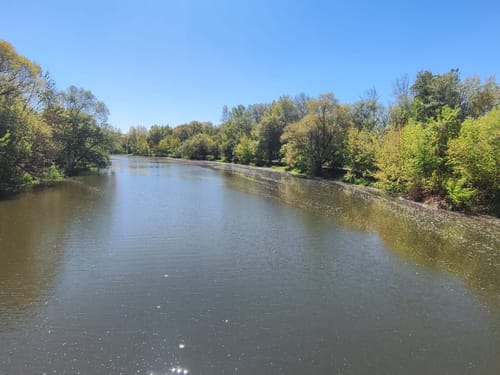 Naturschutzgebiet "Rabeninsel und Saaleaue bei Böllberg" ab Halle