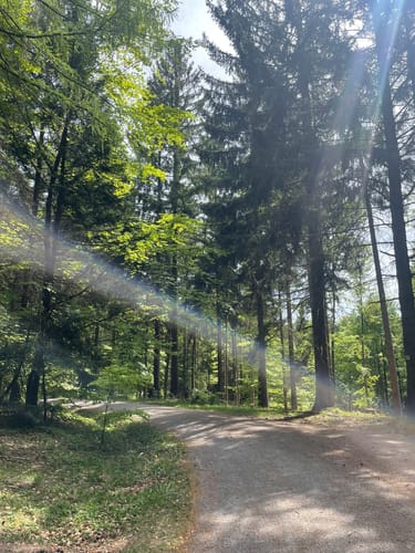 Althütte Rundwanderweg 2