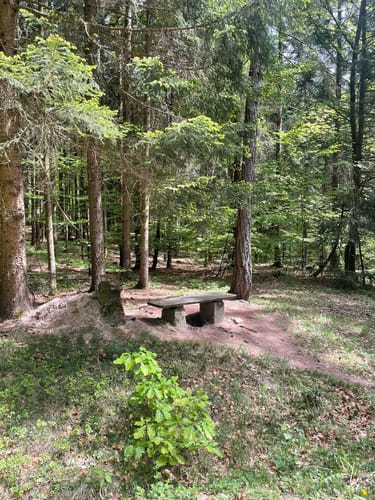 Althütte Rundwanderweg 2