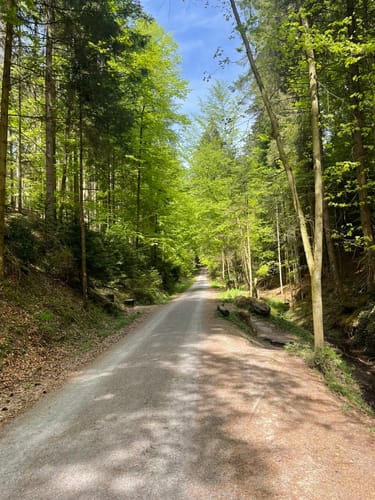 Althütte Rundwanderweg 2