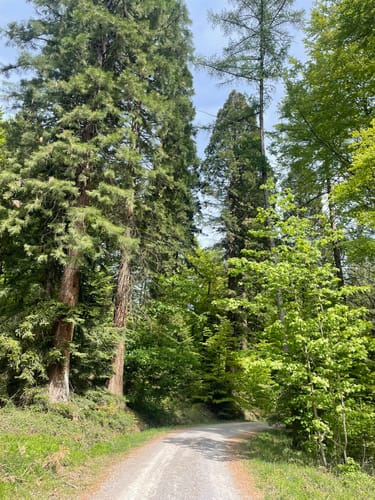 Althütte Rundwanderweg 2