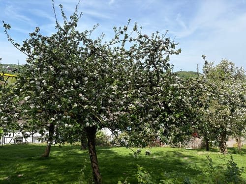 Feld und Flur bei Neviges