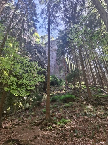 Gipfel- und Aussichtstour Tour 1 - Bad Tabarz