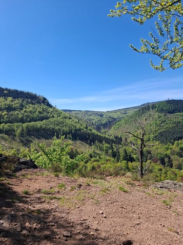 Gipfel- und Aussichtstour Tour 1 - Bad Tabarz