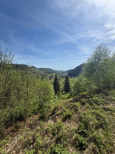 Hochschwarzwälder Hirtenpfad (Genießerpfad)
