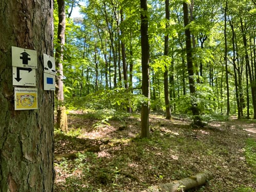 Butzbacher Hessentagswanderweg