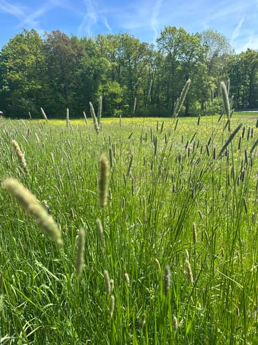 Butzbacher Hessentagswanderweg