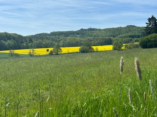 Butzbacher Hessentagswanderweg