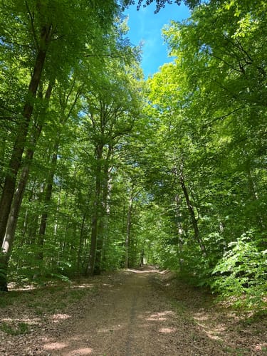 Butzbacher Hessentagswanderweg