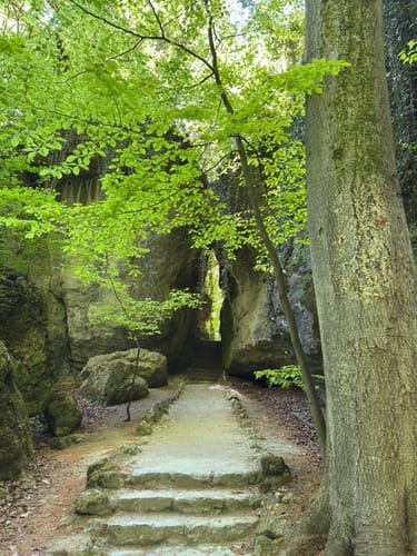 Sanspareil - Leesau