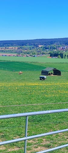 Erzweg Etappe 7: Amberg - Paulsdorf